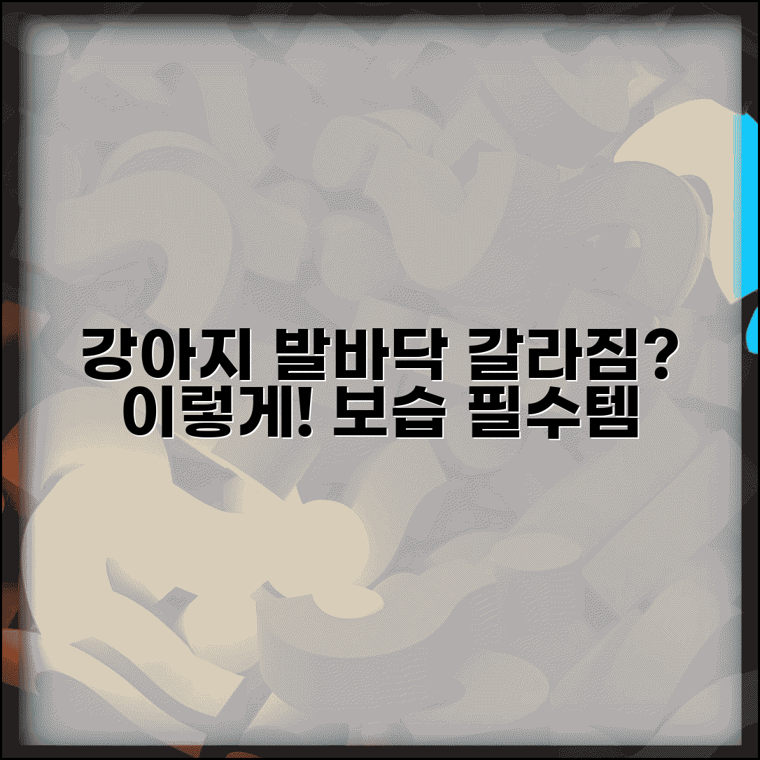 강아지 발바닥 갈라진 곳 어떻게 관리해야 하나요 | 강아지 발바닥 | 갈라짐 | 보습
