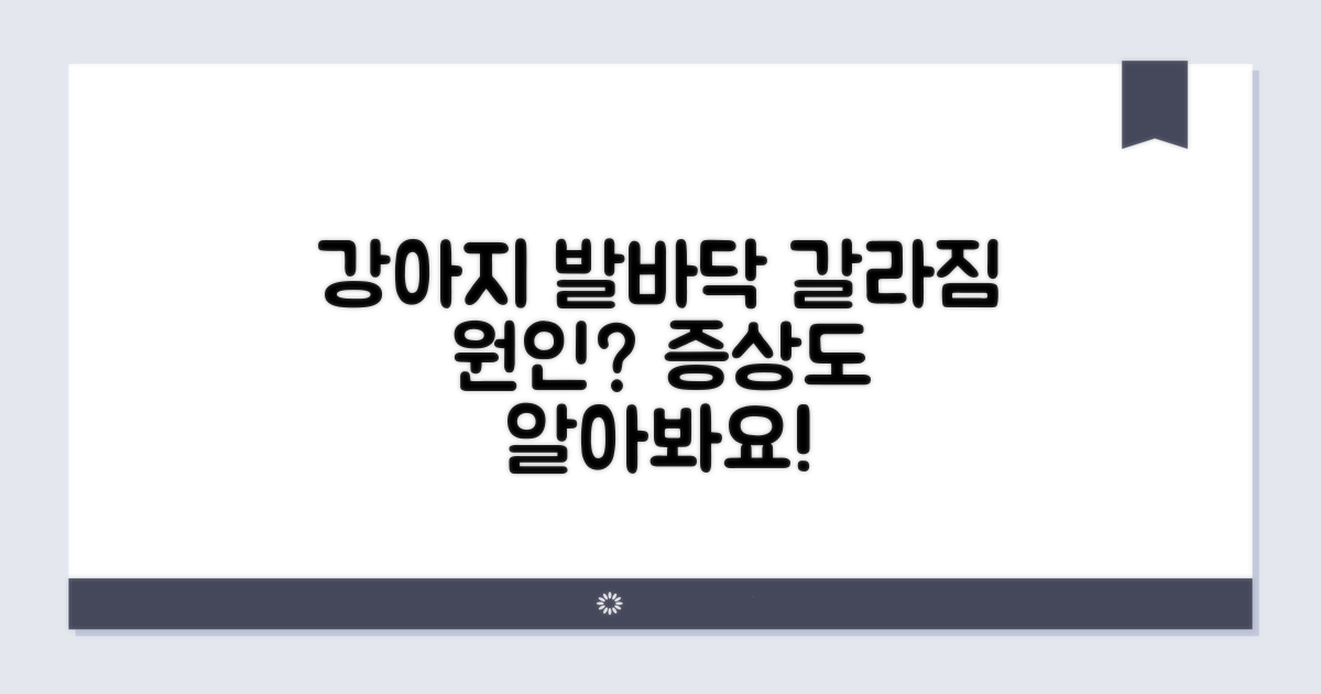 강아지 발바닥 갈라짐 원인과 증상