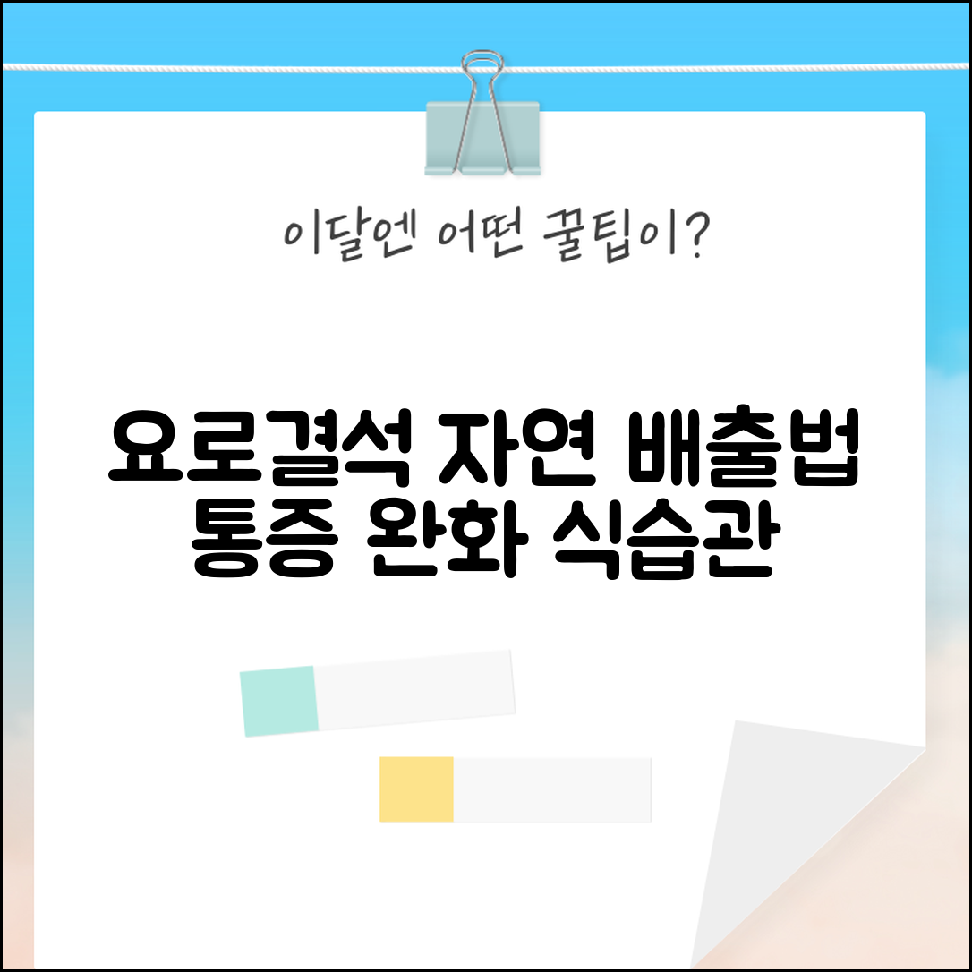 요로결석 질병코드 자연 배출법 | 신장결석 통증 완화와 재발 방지 식습관