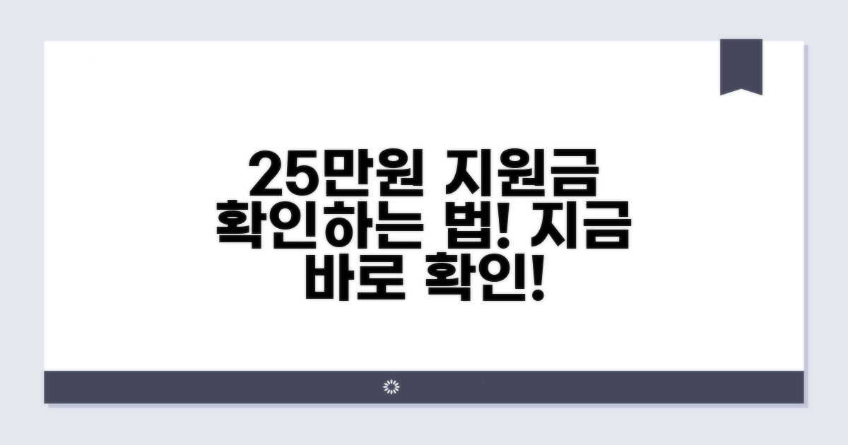 민생회복지원금 25만원 확인법