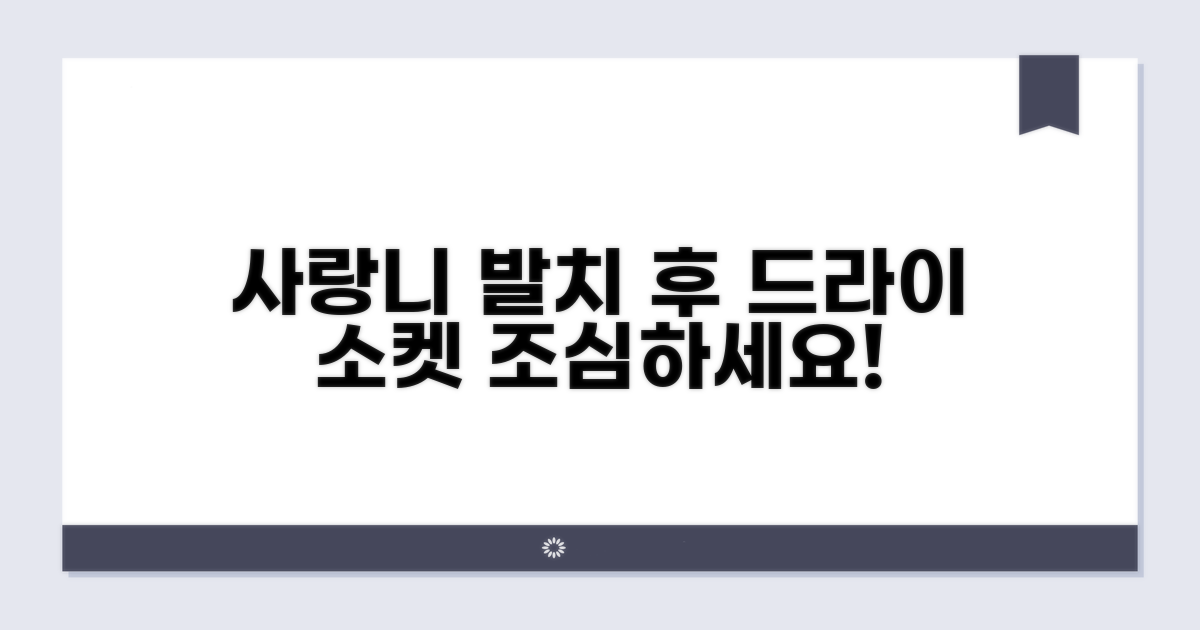 사랑니 발치 후 드라이 소켓 증상