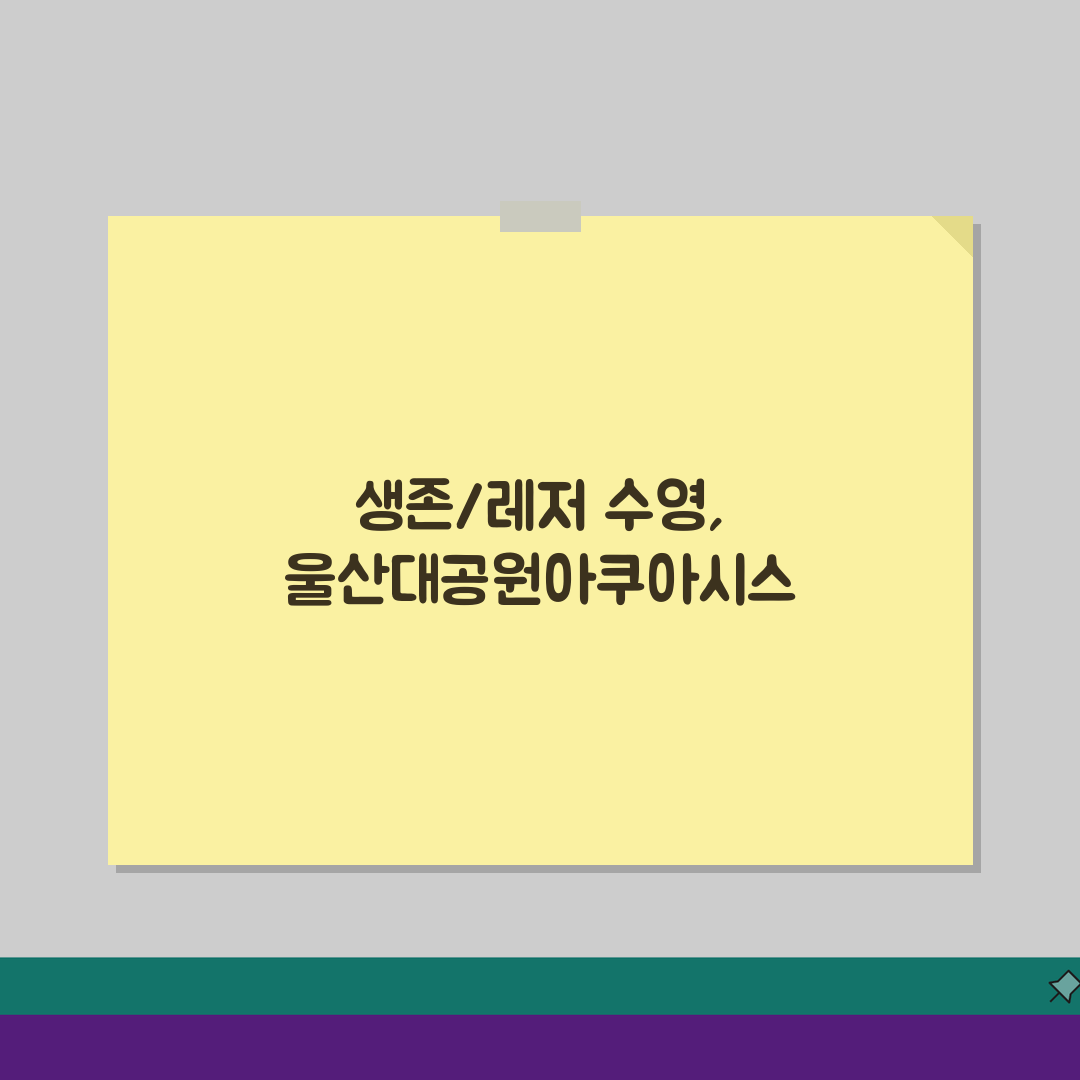 울산대공원아쿠아시스 강습프로그램 | 생존수영/레저수영 과정 심층분석: 7가지 핵심 과정