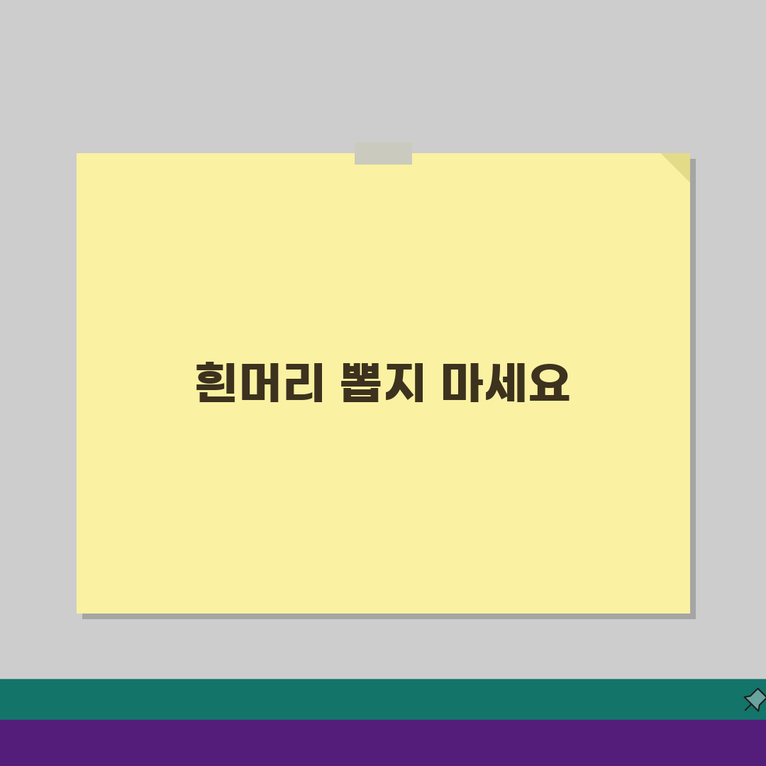 흰머리 뽑으면 더 나는가 완벽정리, 새치 뽑으면 안되는 이유 팩트체크