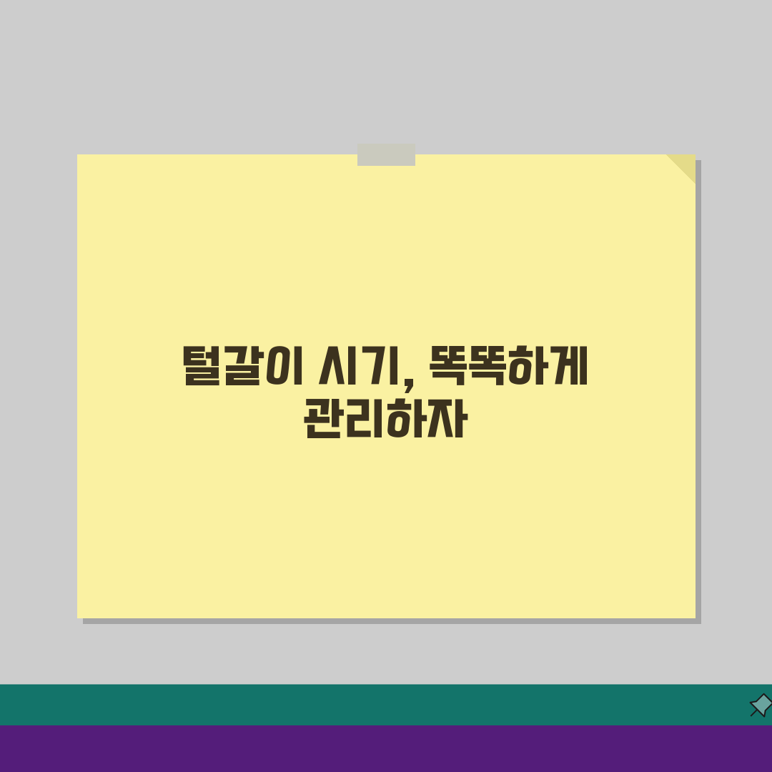 강아지 털 빠짐 시기 관리 방법 청소 | 털갈이 대처법 A to Z