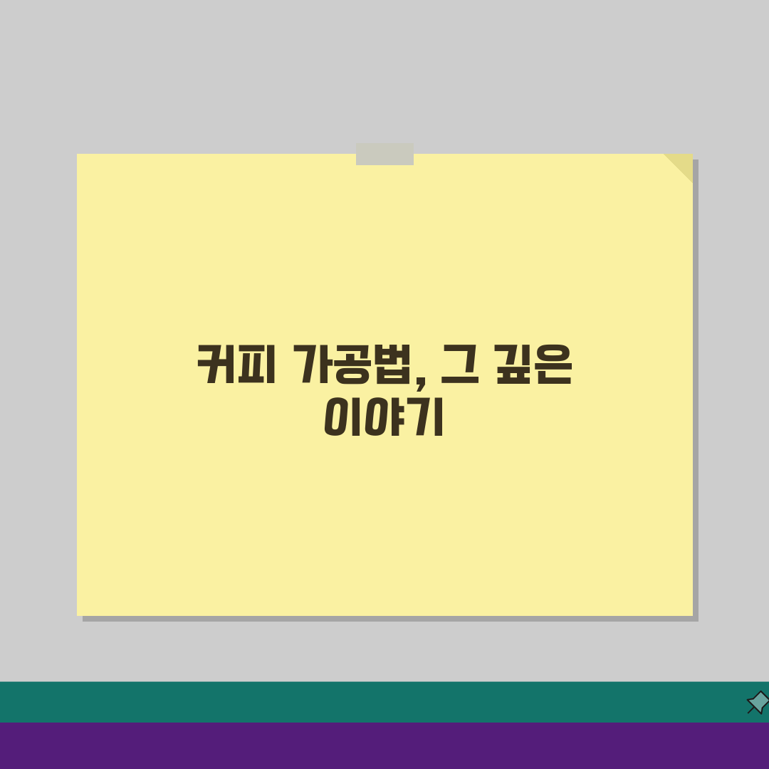 워시드 vs 내추럴 vs 허니 가공법 맛 차이: 커피 풍미 완벽 가이드