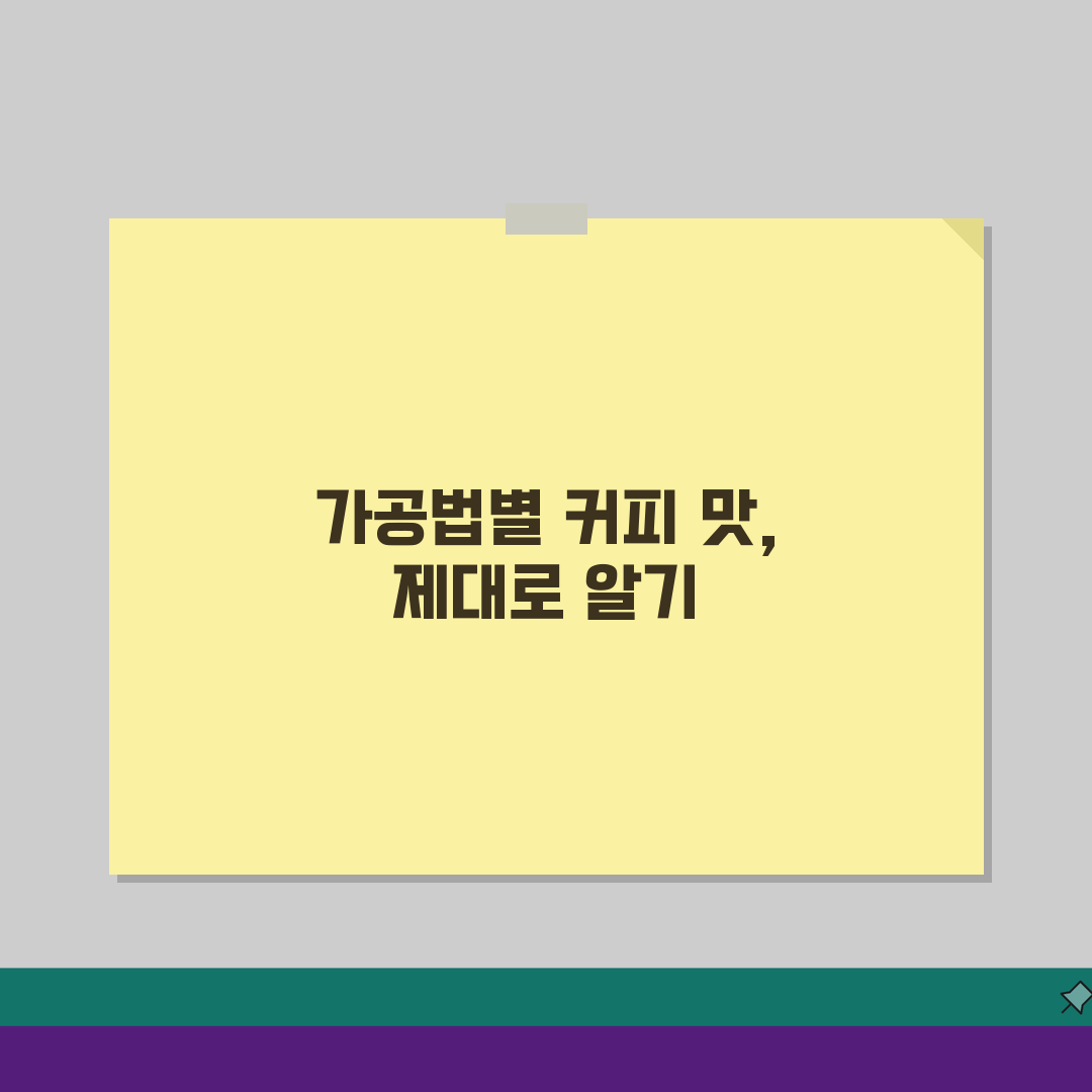 워시드 vs 내추럴 vs 허니 가공법 맛 차이: 커피 풍미 완벽 가이드
