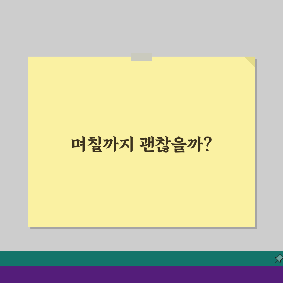 고양이 혼자 두고 며칠까지 여행 가도 되나요? 고양이 홀로 여행 돌봄 꿀팁