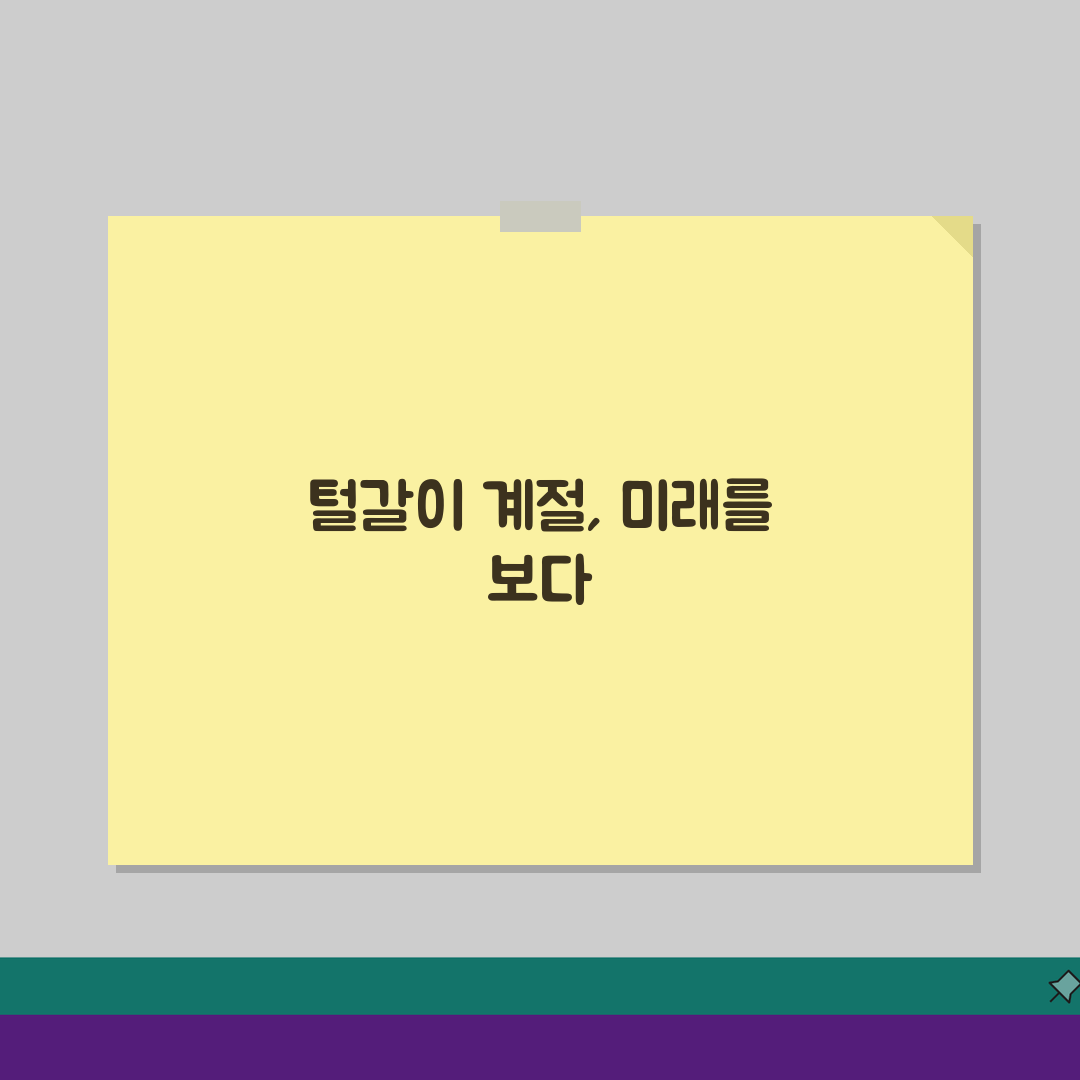 강아지 털 빠짐 시기 관리 방법 청소 | 털갈이 대처법 A to Z